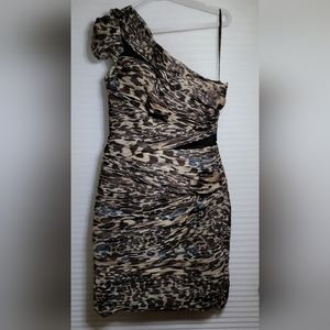 Animal Print Dress for All Occasions